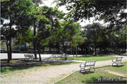 平鎮區公園-新寶公園圖片(共三張)
