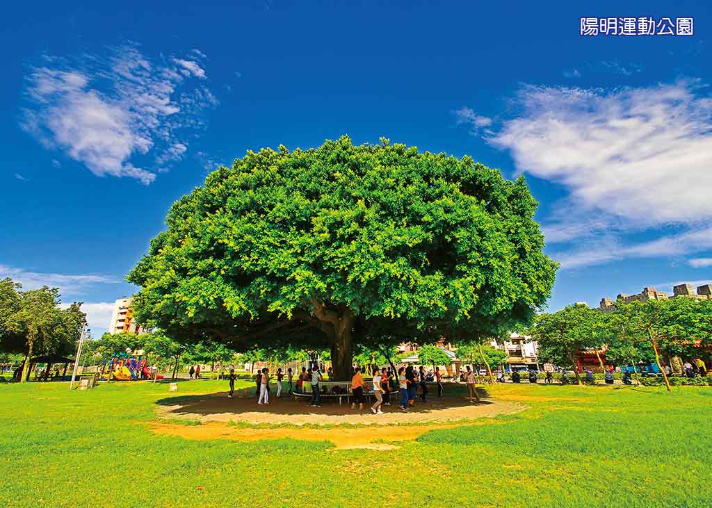 陽明運動公園