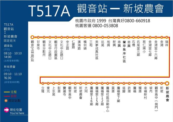T517A