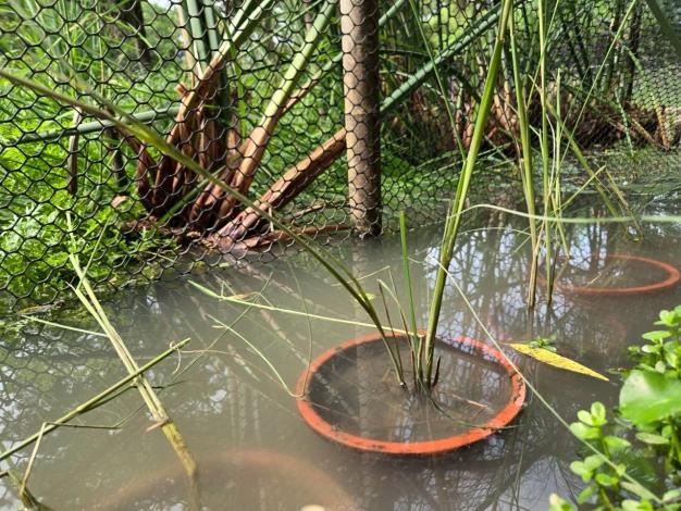 LINE_ALBUM_0920鬼稻季_250920_35_0_0