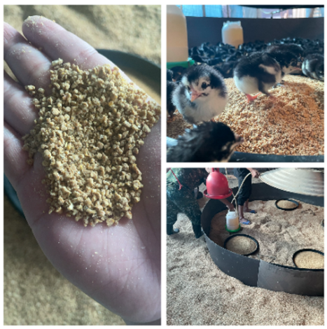 4.洺鈞畜產科技運用AI監控與中草藥飼養管理，提高畜產品透明度，並順利通過P&PF國際認證