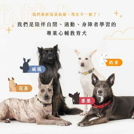 心輔犬戚風、奶茶、花茶、墨墨