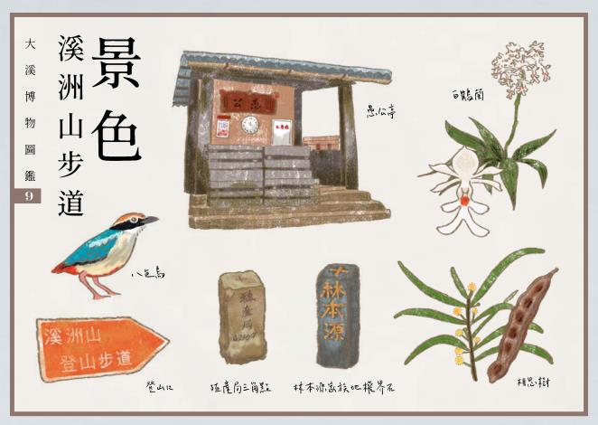 一本大溪_2020明信片_08