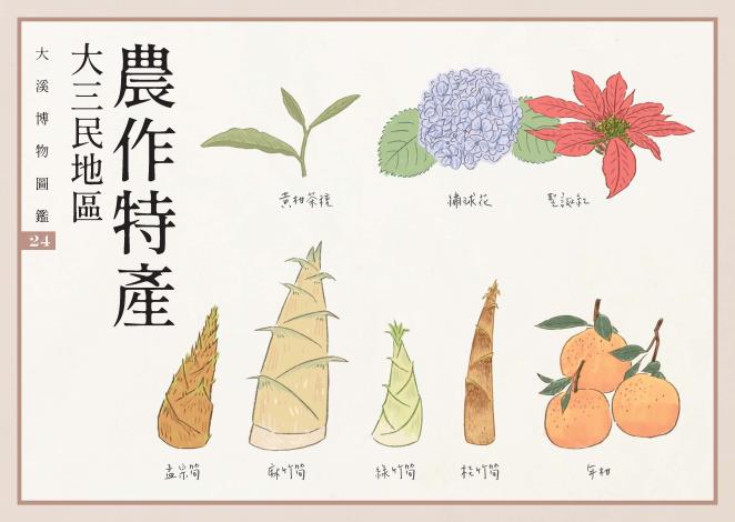 2022圖鑑明信片_24