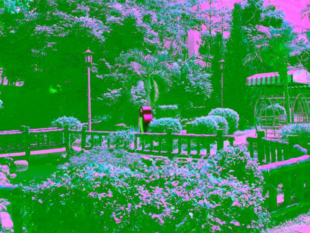 老人會館旁公園實景