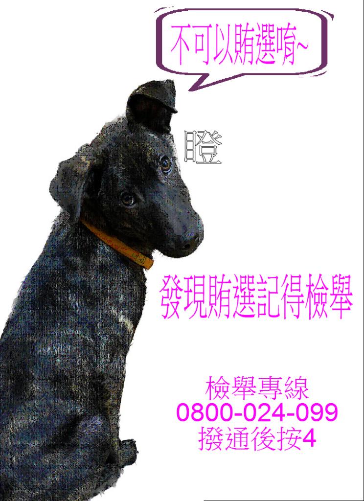 反賄選海報